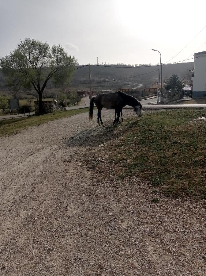 Hostal Cañamares Εξωτερικό φωτογραφία
